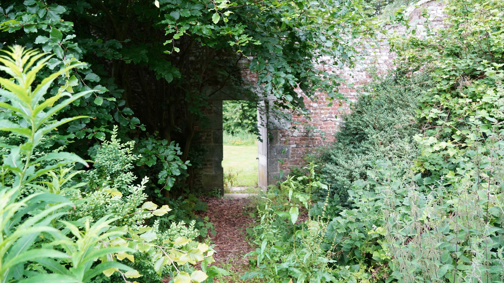 Cluny_Community_Walled_Garden
